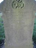 image of grave number 379787